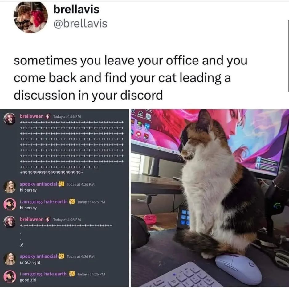 WholesomeMemes tweet media