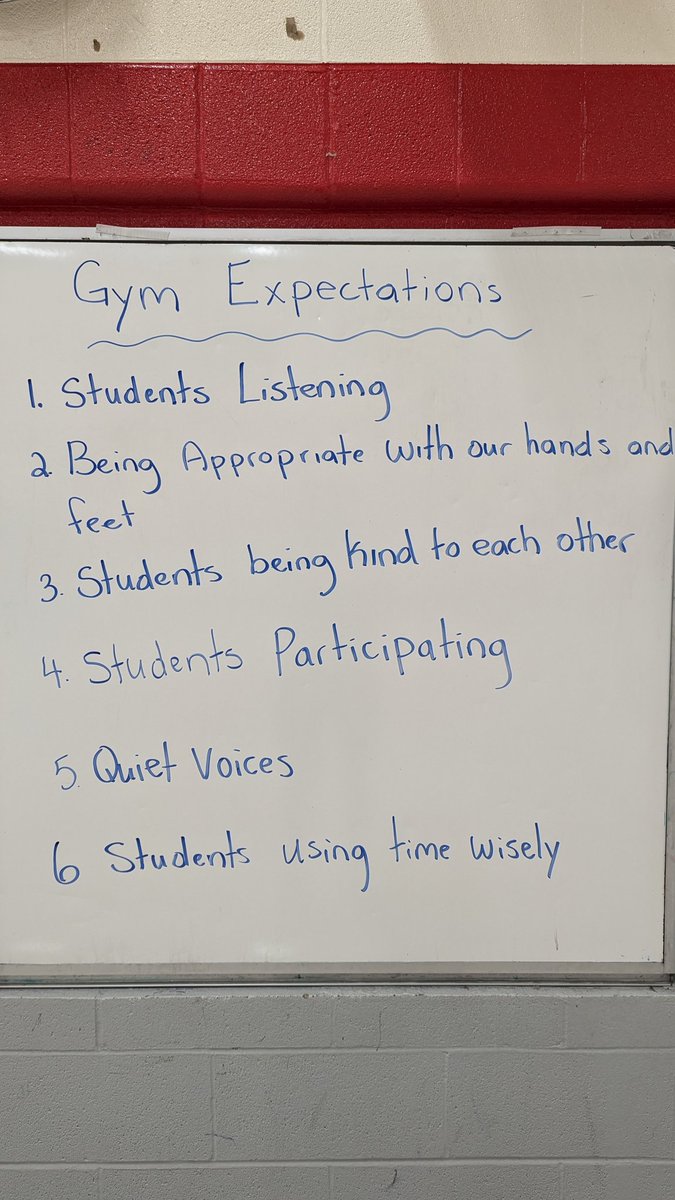 Very proud of the thoughtful ideas given when asked about expectations of behaviour when we are in the gym. This is going to be a fun year!