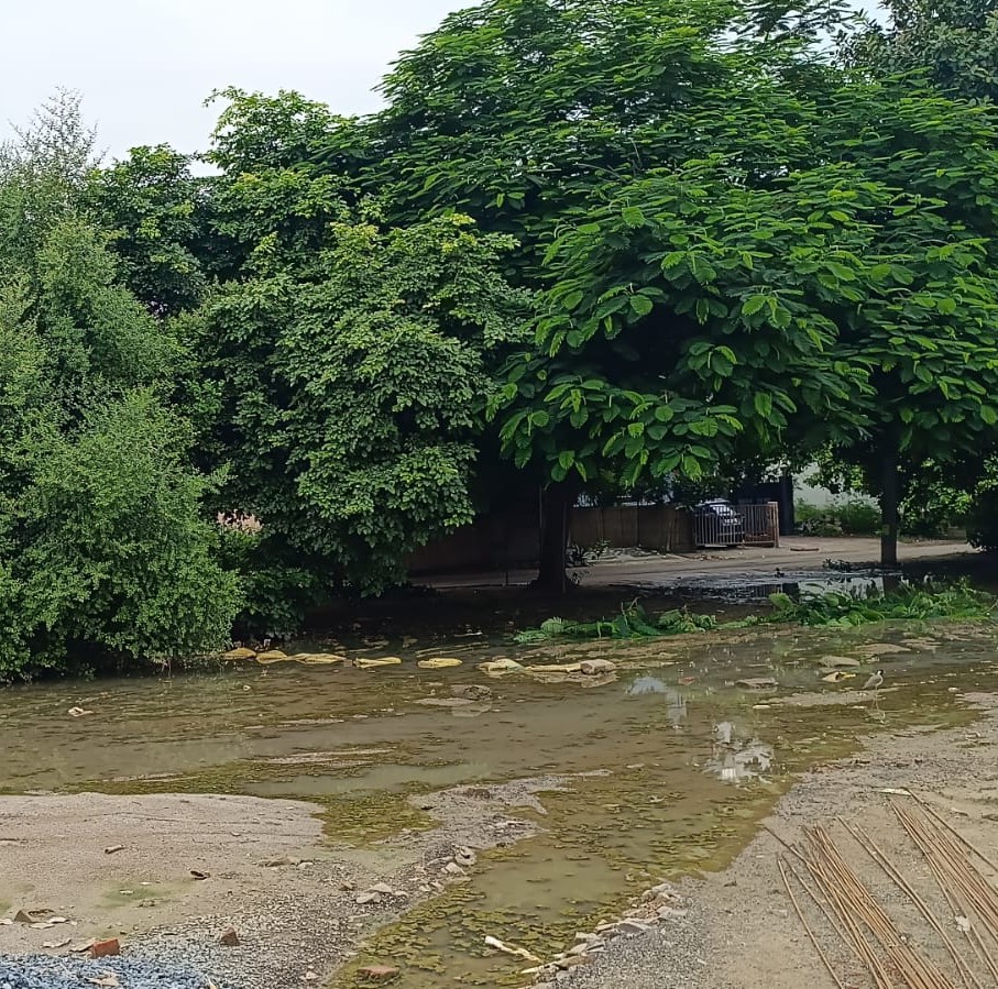 There isn't any need to go for off-roading outside Gurgaon. Just be on the internal HSVP sectors road , Sec-46, 51, 45. The parkings of HUDA market have become beautiful lakes <a href="/OfficialGMDA/">GMDA</a> <a href="/HsvpHaryana/">HSVPHaryana</a> , <a href="/MunCorpGurugram/">MCG</a> <a href="/bjp_haryana/">bjpharyana</a> <a href="/RaoNarbir/">Rao Narbir Singh</a> <a href="/DC_Gurugram/">DC Gurugram</a> <a href="/DARPG_GoI/">DARPG 🇮🇳</a> <a href="/cpgrams/">Public Grievance CPGRAMS</a>