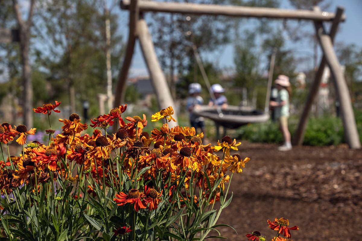 Waterbeach tweet media