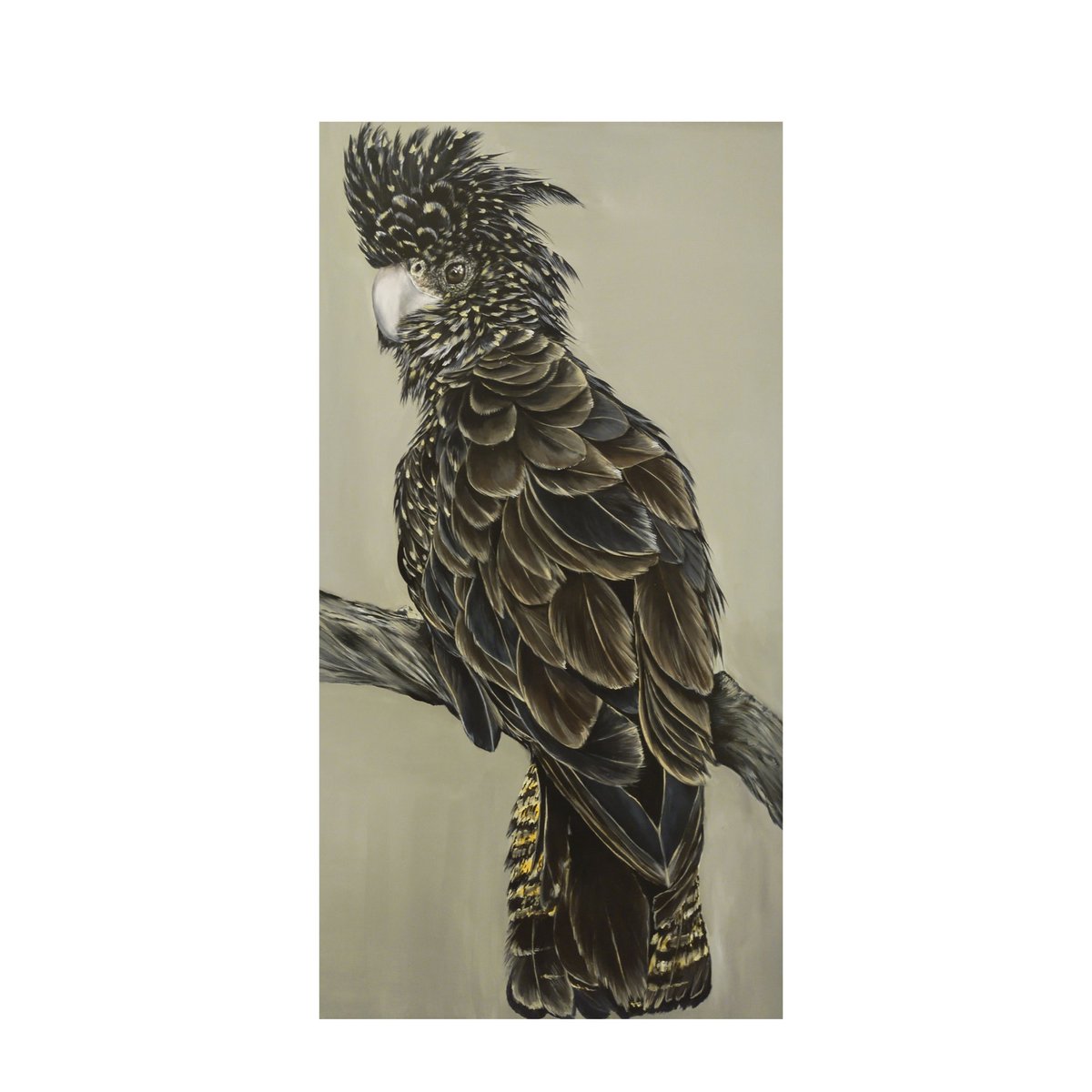 Hardeep85974180's tweet photo. Wings of Shadow- Black Cockatoo
Acrylic painting
#HardeepArt #art #artwork #blackcockatoo
#australianbird #australia #bird #painting #Artist https://t.co/ugweNvj0Av