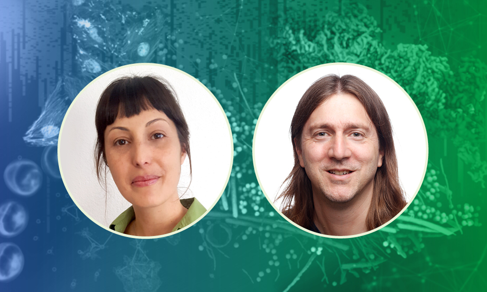 Our Structural and Computational Biology Unit is renamed to Molecular Systems Biology Unit.

Co-Leads Julia Mahamid and Nassos Typas share their vision for the unit’s research directions and opportunities.

embl.org/news/people-pe…