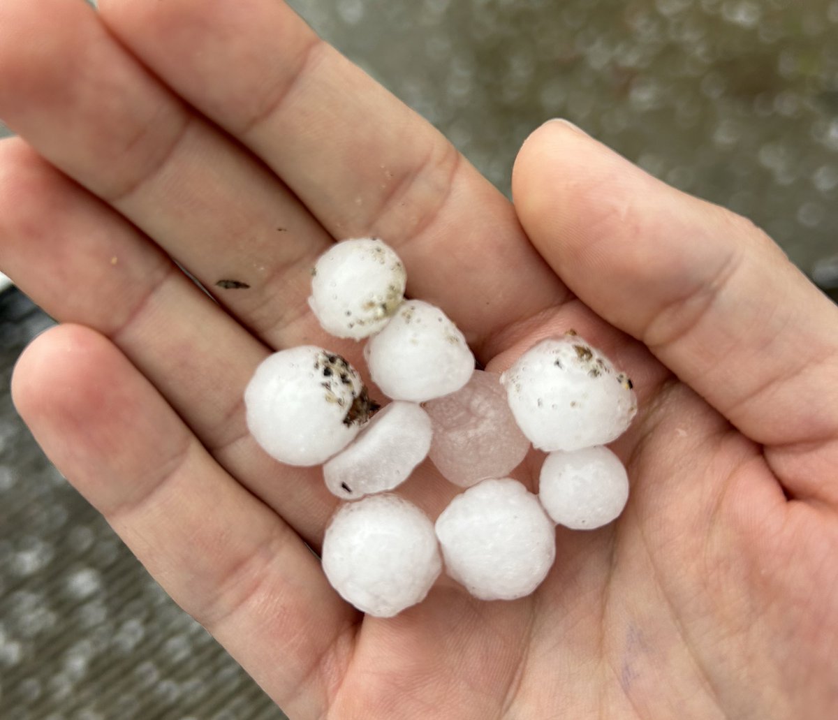 Stevige (onweers)buien trekken over het land. Het kwam tot hagelstenen van zeker een centimeter doorsnede in Olst, Overijssel. <a href="/janvissersweer/">JAN VISSER</a> <a href="/Alpenweerman/">Johanns (Alpen)weer @johannsalpenweer.bsky.social</a> <a href="/OnlineweatherNL/">Onlineweather Stormchasers</a> <a href="/StormchaserNL/">Wouter van Bernebeek</a>
