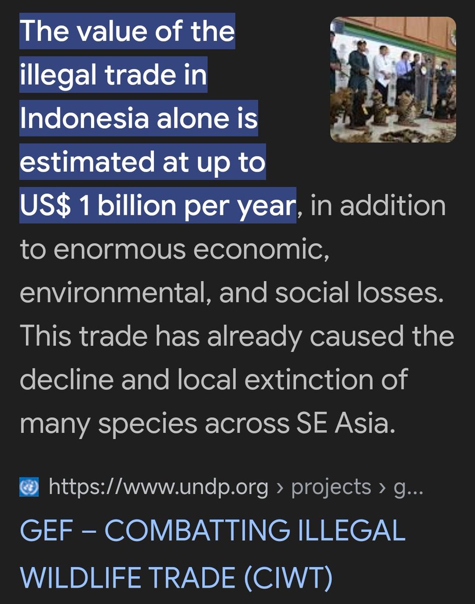 lux mundi tweet media