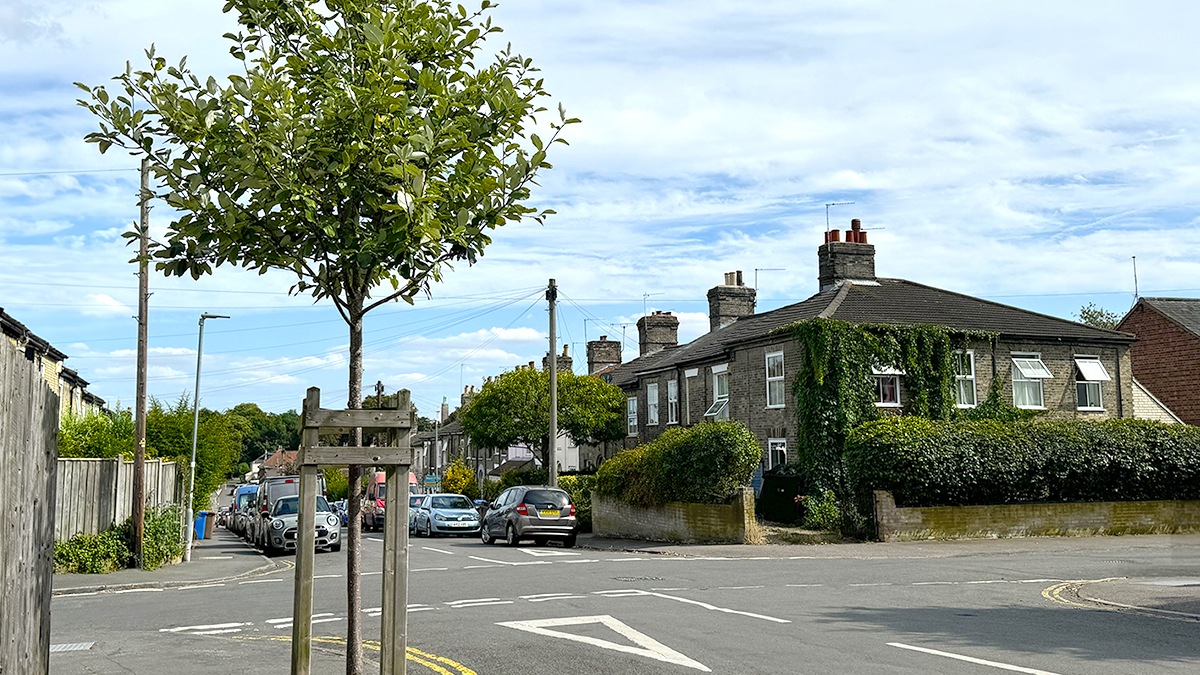We're on a mission to keep #Norwich green! With Treefo, each review funds tree planting. Our Digital Marketing Manager, Debs, is part of the Wensum Ward Tree Group, increasing trees around our Norwich office. Share your feedback, plant a tree, and grow a greener community!