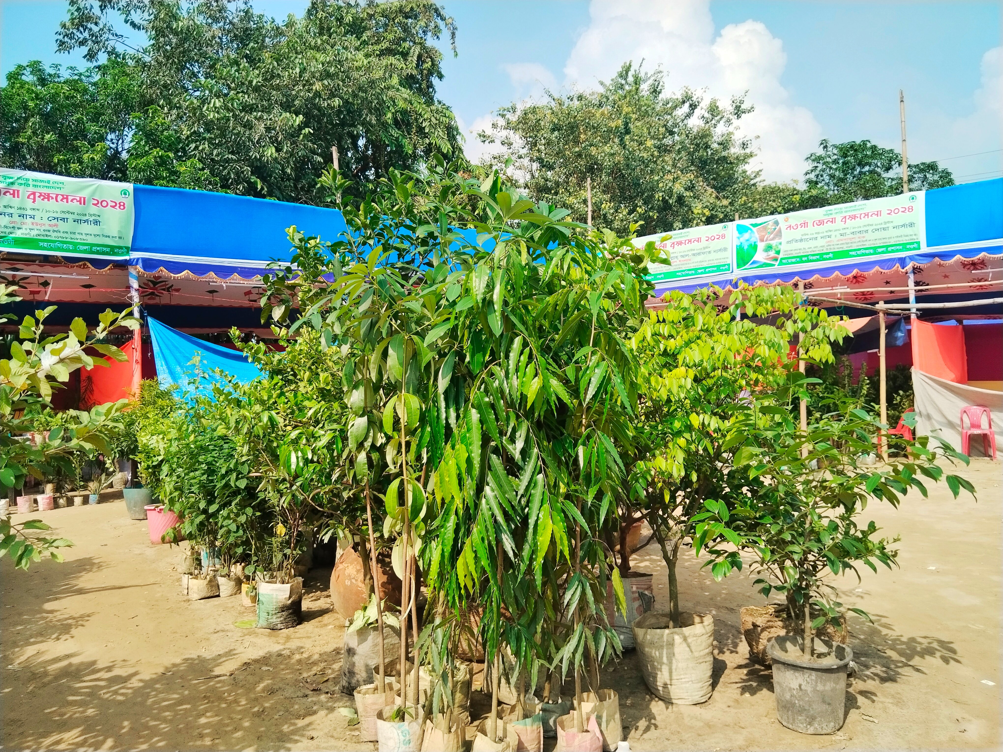 নওগাঁয় চলছে সপ্তাহব্যাপী বৃক্ষমেলা
