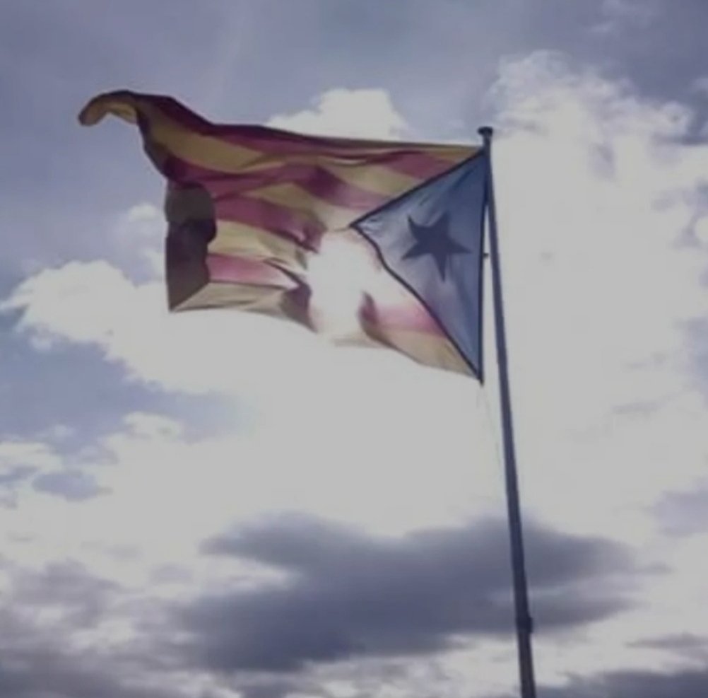 Vilaredes2 tweet media