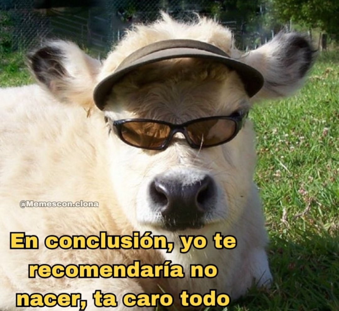 Frases Barbie (@barbie_context) on Twitter photo 