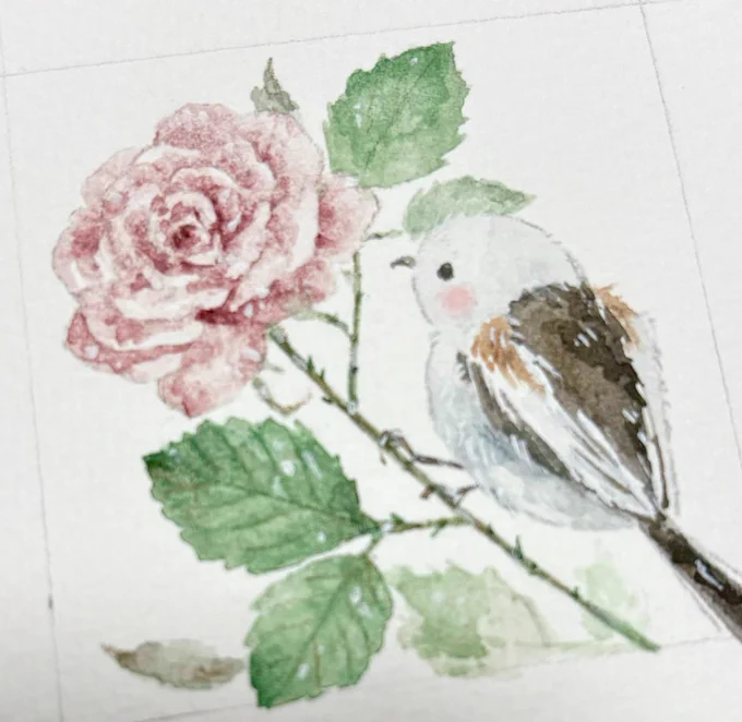 シマエナガとピンクの薔薇 #イラスト #シマエナガ