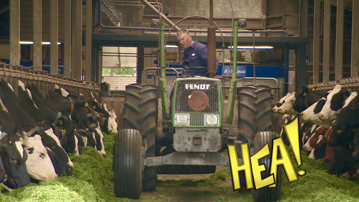 Bennie Hettinga is al 40 jier boerehelp by de famylje Gerbrandy yn Jirnsum. Elk momint dat hy net oan it wurk is by Empatec, helpt hy op’e pleats. En dat wurk fynt Bennie machtich. #Hea! #OmropFryslân 
Sjoch hjir: omropfryslan.nl/fy/tv/ofleveri…