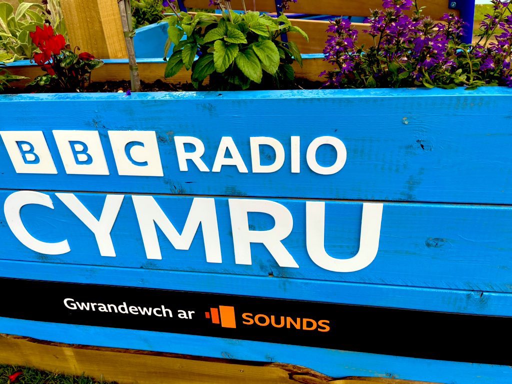 Shân Cothi tweet media