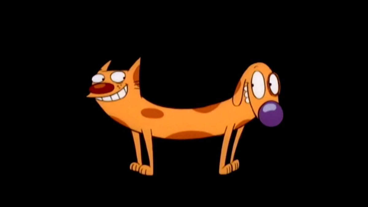 has anyone checked on catdog this morning