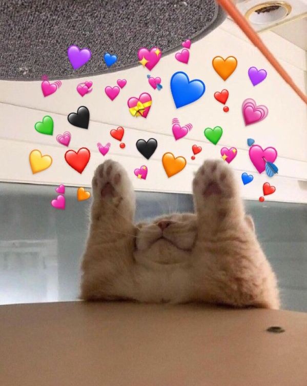 Tanim__pcy's tweet photo. @EXO_LAND_1 @weareoneEXO موچ بهت
 ༼つ ꈍ⁠ᴗ⁠ꈍ⁠ ༽つ🧡🍊 https://t.co/ntojc3Zj2U