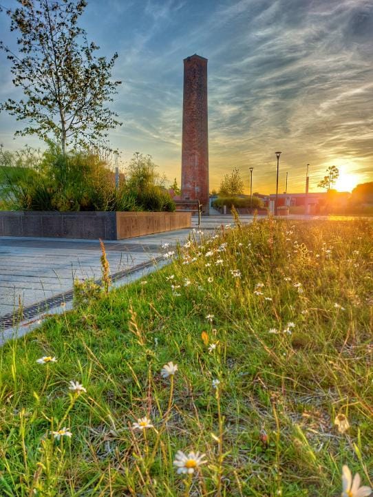 VisitTralee_'s tweet photo. Discover the charm of Tralee Town!
Wander through the peaceful Tralee Town Park, explore the urban Island of Geese, or take a cycle along the scenic Greenway for breathtaking views 🌄
Adventure awaits!
#VisitTralee #TraleeTownPark #IslandOfGeese #Greenway https://t.co/BcwmKZQvL3