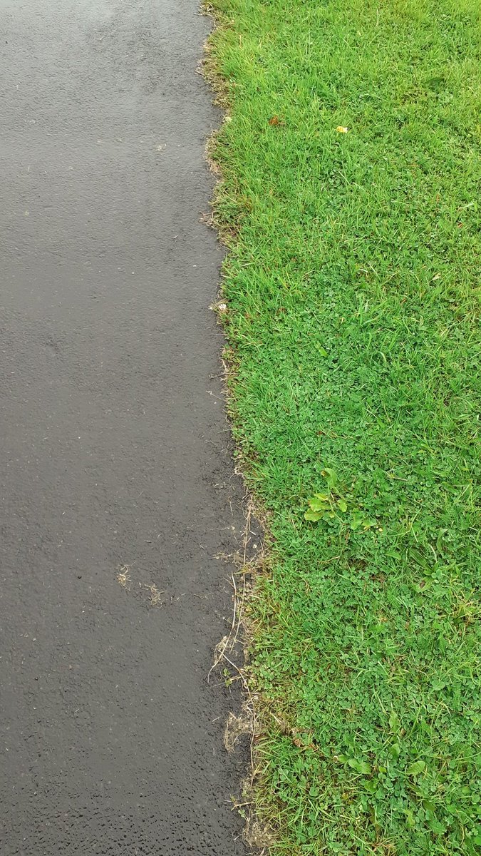 Paul Todd MBE 🇺🇦 tweet media