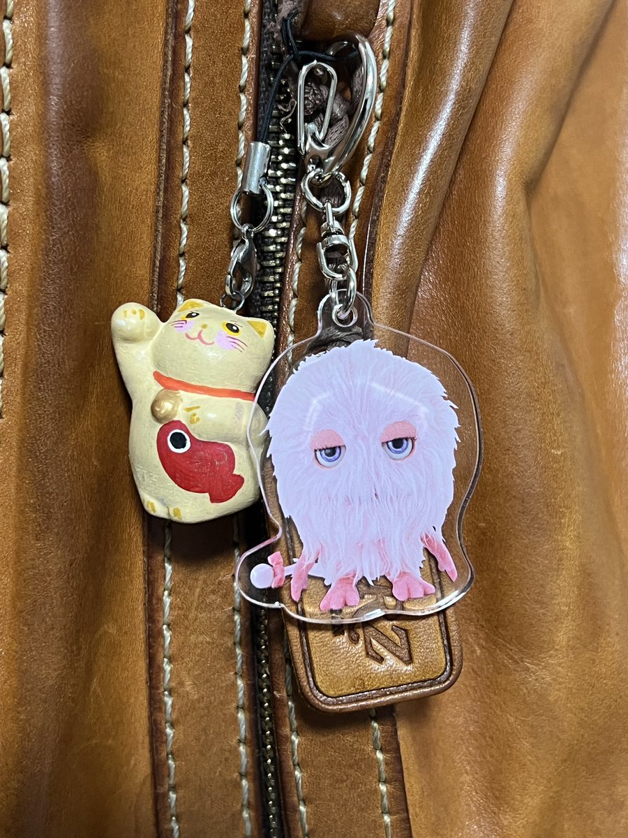 ピーチちゃん、お迎えしました！
うちの、お猫様と並んでポーズ🤗
#metamoja