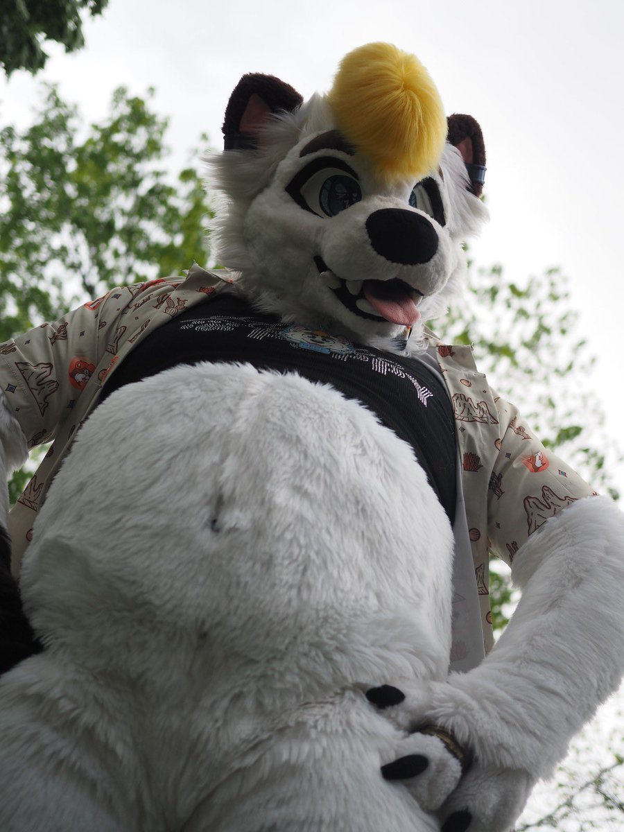 awwwhecc's tweet photo. @BarleyTheBurr Oh hi https://t.co/y3IJ85FLjL