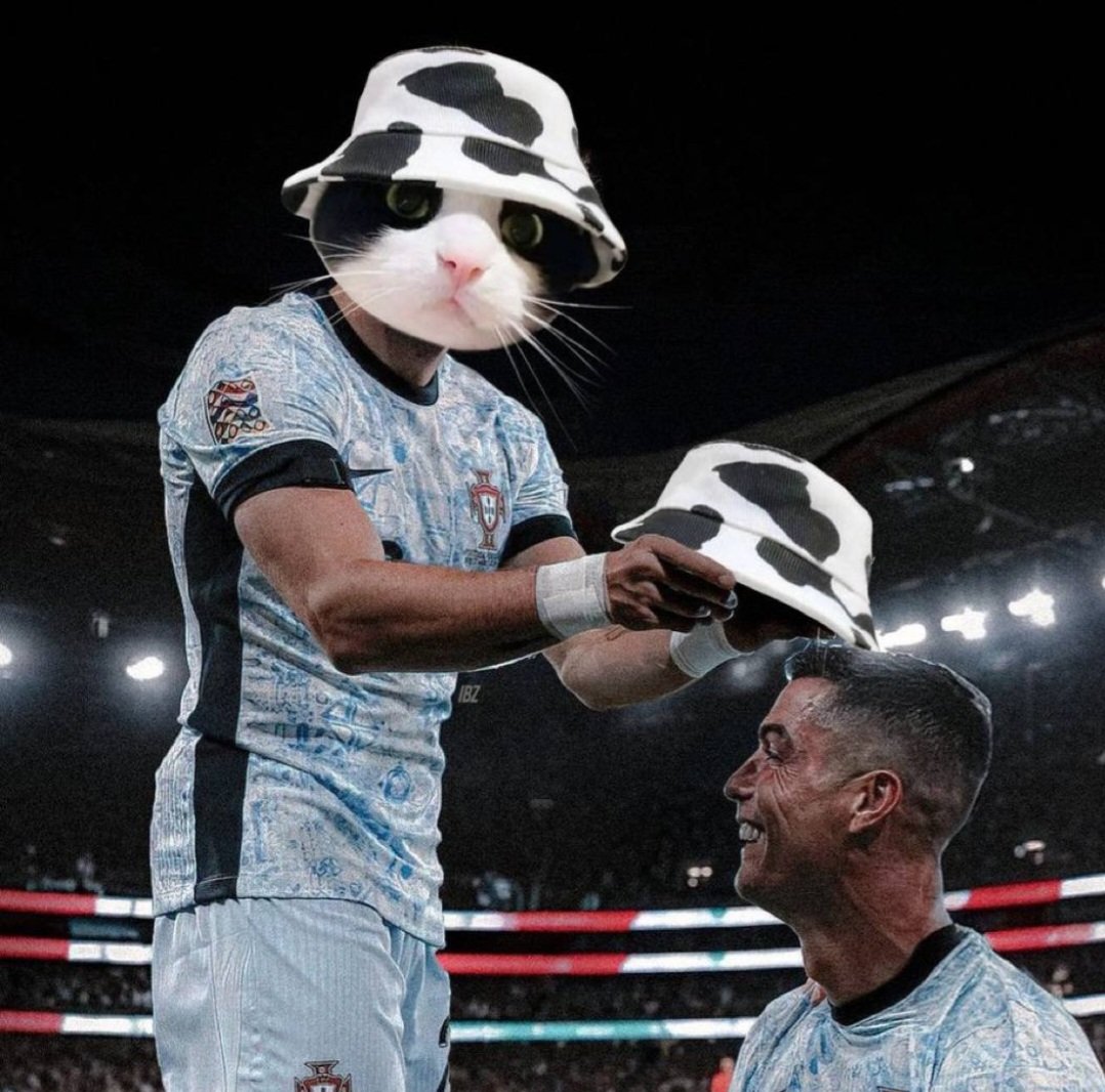 Metasthetic's tweet photo. @metaversejoji Wake up - study @MooCatSolana - study $MooCat - buy a big bag $MooCat 🤝
#MooArmy
We #MooVing https://t.co/wTE15VOAIc