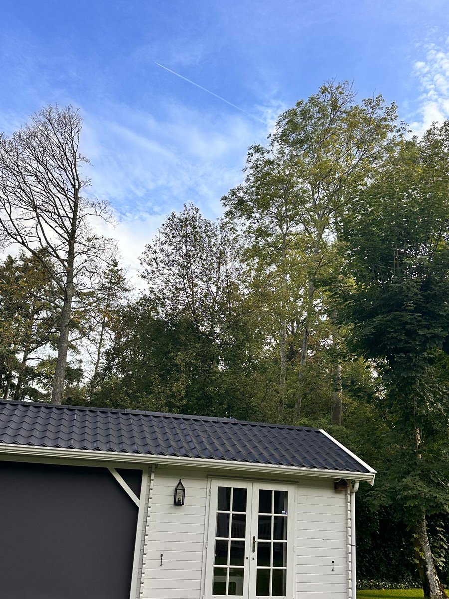 HartBloemendaal's tweet image. Hoge oude bomen sterven in #Bloemendaal door de hoge #grondwaterstand maar dat is niet erg volgens #PWN. Want hoe meer grondwater hoe beter. De bomen moeten verzuipen. @ProvincieNH @nrc @telegraaf @omroephuman @RTLnieuws @Quotenet @DeGroene