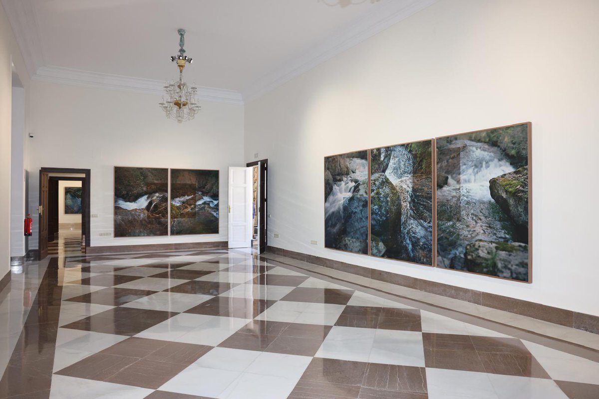 Ana de la Cueva tweet media