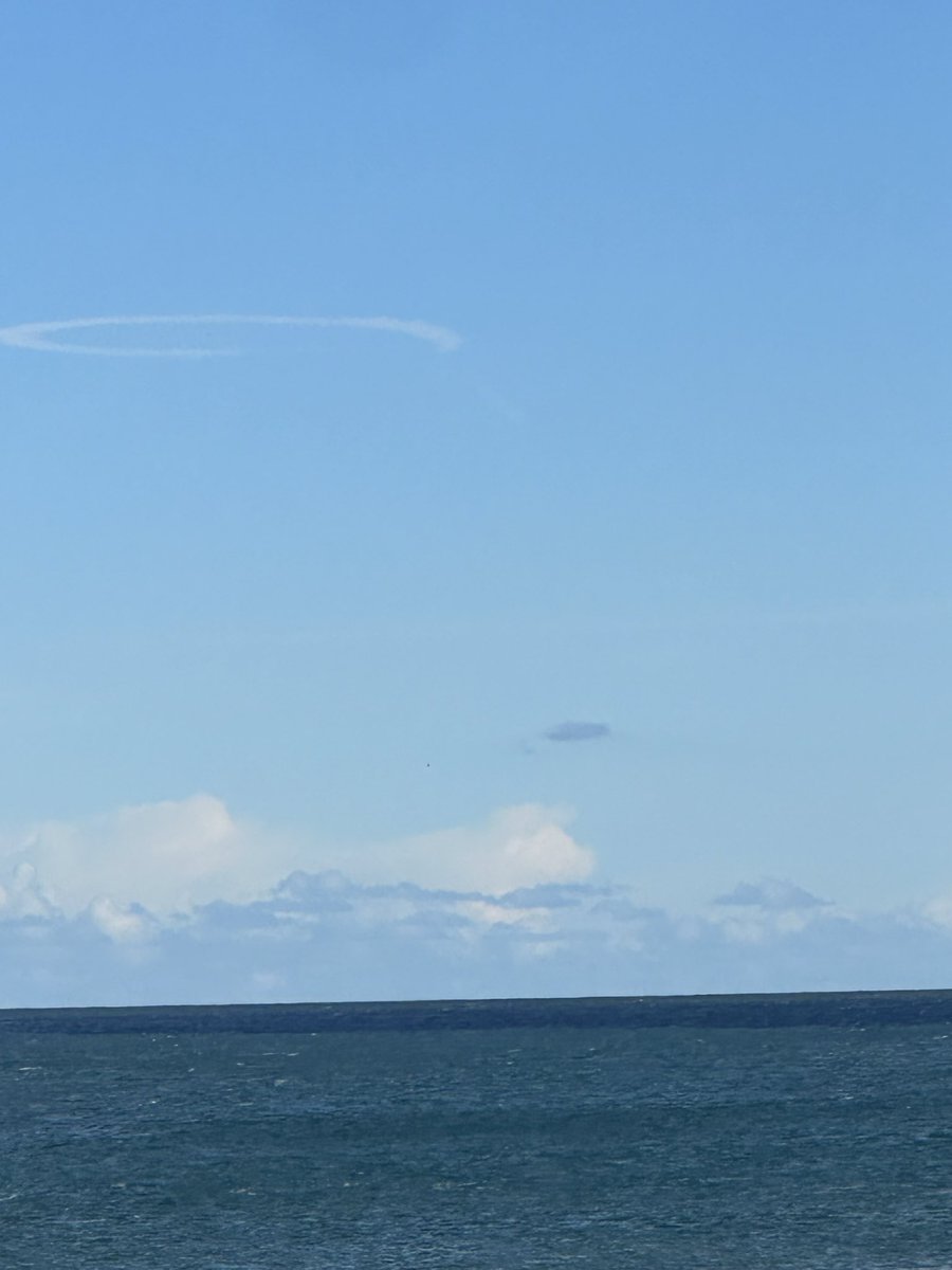 SeaWindowCraster tweet media