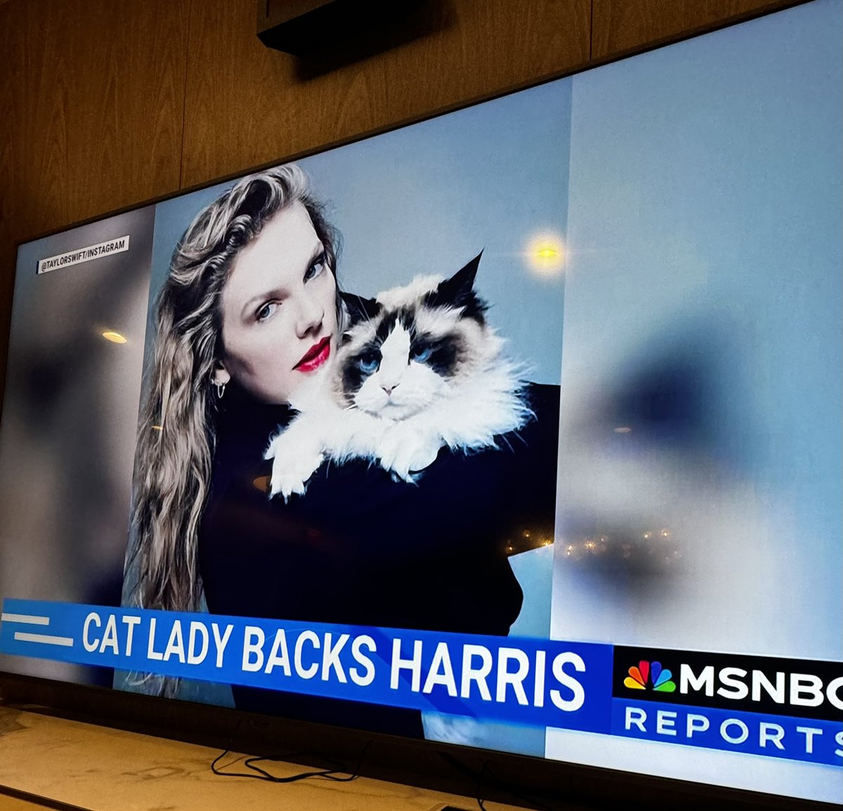 Crying at this headline MSNBC has running about Taylor Swift endorsing Kamala Harris
