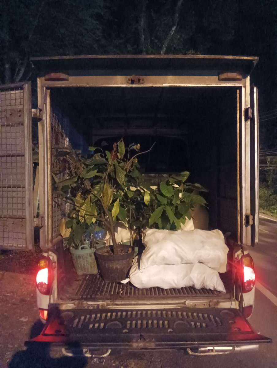 มาส่งสะดึกเลย