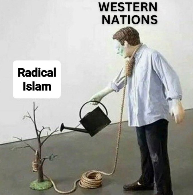 mindtrap tweet media