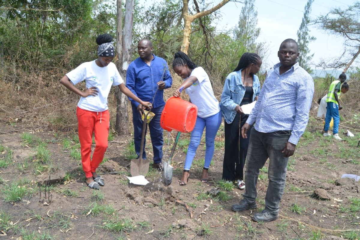 mora81123's tweet photo. September 10 greening kisumu initiative was held in Great lakes university of Kisumu .
The event was presided by K-iuesa and TINADA .
#Changing the narrative ; Nurturing nature , nurturing minds.
#Gluk Environmentalists changed the narrative by greening the future 💚💚 https://t.co/nzpi9mdi1R