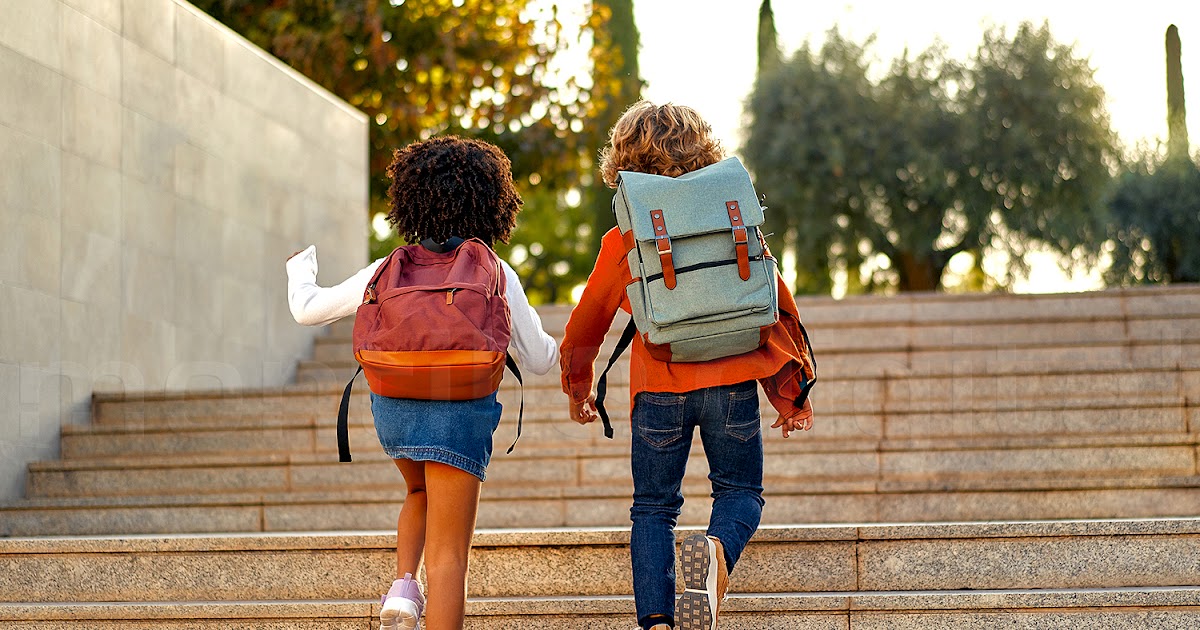 Porcuna Digital tweet media