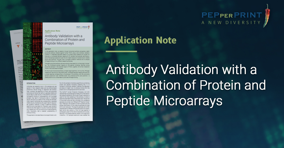 Validating antibodies? Our microarray-based #antibodyvalidation simplifies the process from protein hit discovery to off-target binding analysis. We've integrated <a href="/cdi_labs/">CDI Labs</a> HuProt™ Protein Microarrays into our 3-step workflow! Read the application note 👉 eu1.hubs.ly/H0cg-yG0