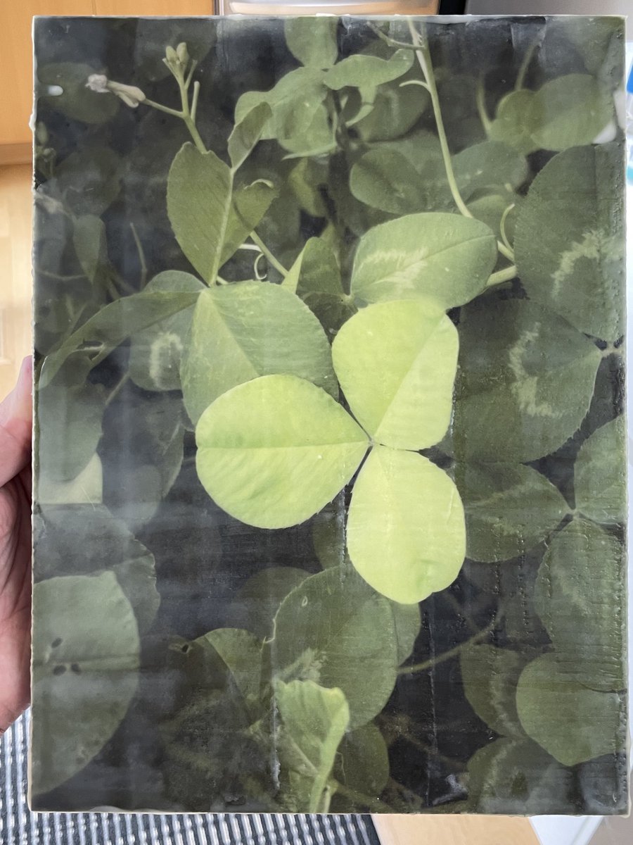 Sold my first mixed media artwork (photography+encaustic) today entitled “cover crop, 2024” before it goes into a show in a few weeks. Like a painting, encaustic produces one-of-a-kind works through a hot wax application process. And paired with photos, it adds info to the story.