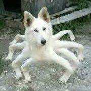 مع الاختبارات والمشاريع وحياتي الخاصة والاكترونيه يحتاج لها تفعيل خاصية كلكبوت