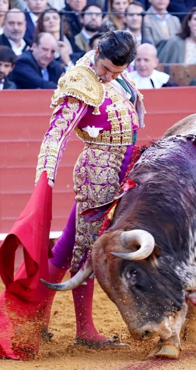 Siempre le esperaré maestro