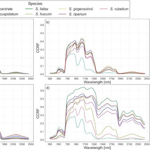 miinaraut's tweet photo. 📢Hot off the press! The moisture content of common boreal #peat mosses (Sphagnum sp.) can be estimated using multi- or hyperspectral close range data.  https://t.co/IDTSCI4S5y #PeatTwitter #Sphagnum
Funded by @SuomenAkatemia https://t.co/Yn5T8uE1do