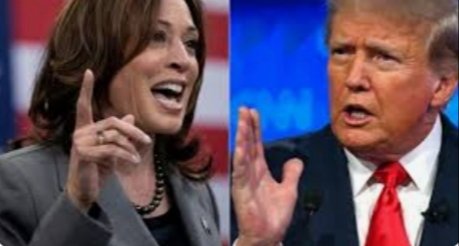 So Donald has seen people from 'Springfield' on TV saying 'Immigrants' are eating their dogs and cats, their pets...!
 I think he's been watching the Simpsons again thinking its a news programme or a documentary...