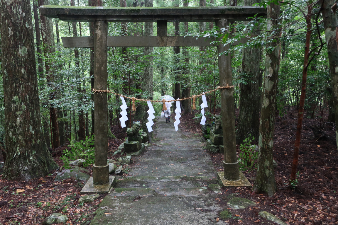 プーぅ✩2点おまとめ Amazon.co.jp: [AC]PLAY TOY 1/6 闘技女神 P023 2.0 青服版 可動