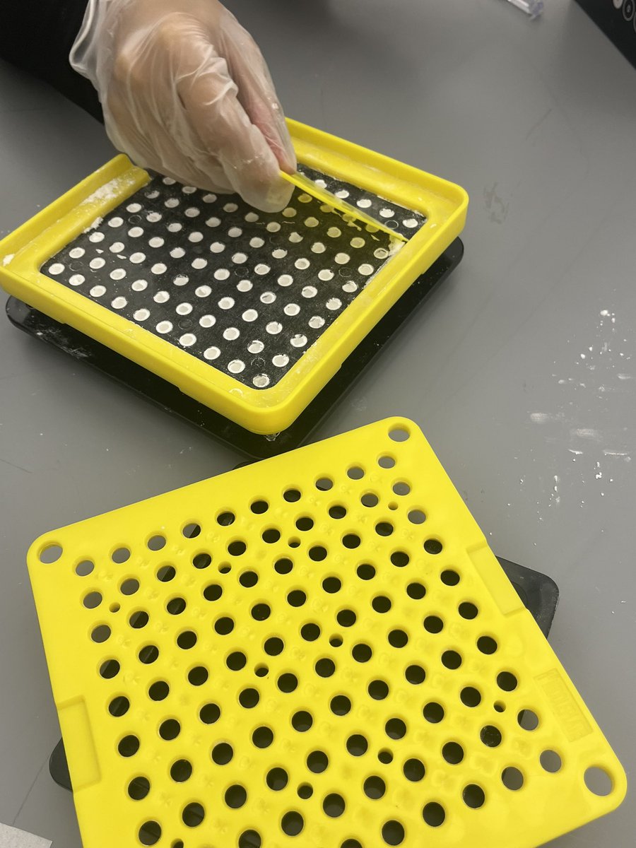 My first capsules 💊