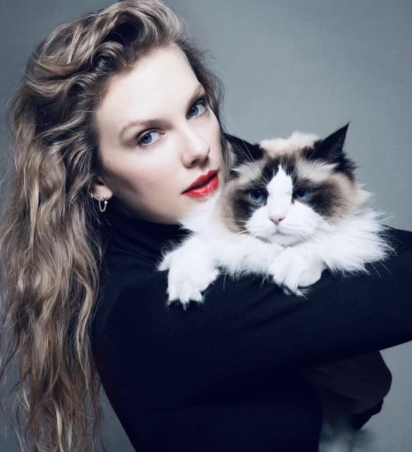 NJSforUS's tweet photo. @TheTNHoller Uh oh, someone is "triggered".
Now, even Trump has TDS (Taylor Derangement Syndrome) ๐คฃ๐คฃ๐คฃ๐คฃ
#ImWithTaylor
#ChildlessCatLadiesRule https://t.co/MXTEib6Bpz