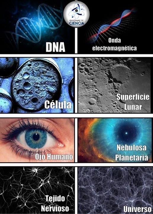 royalhighnesshz's tweet photo. As above, so below.

“Yukarıda ne varsa aşağıda öyle, aşağıda ne varsa yukarıda öyle.” https://t.co/eQcMKoqfOv