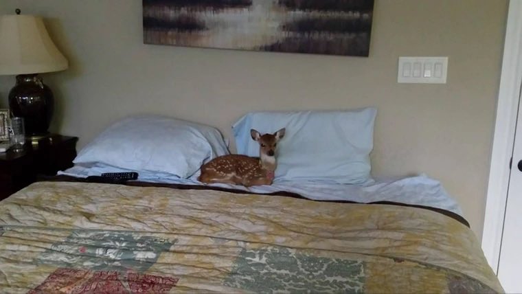 Sorry this is my bed. Yes I need the whole thing.