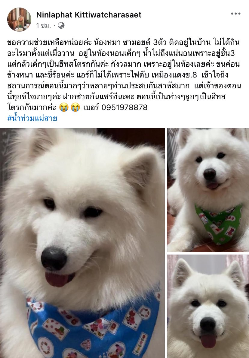 Chalynuts's tweet photo. เห็นโพสต์แล้วบีบหัวใจมาก ฝากแชร์เพื่อช่วยชีวิตน้องๆนะคะ 😢 #น้ําท่วมแม่สาย #น้ำท่วมเชียงราย #saveเชียงราย https://t.co/mLlCX4Rxu6