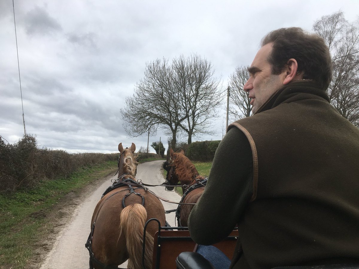 Nicola Chester tweet media