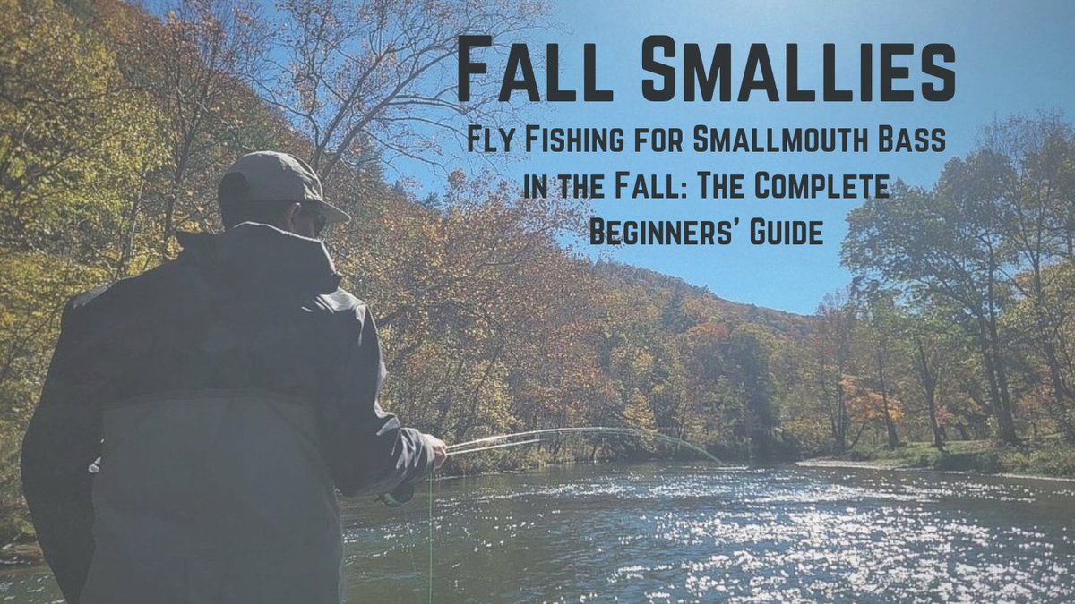 woolybuggin's tweet photo. In this post, we’re going to help you get tight with those fish in their fall frenzy, so grab your fly rod and let’s get ready to catch smallmouth before they decide it’s to hunker down and at the bottom of the river.

https://t.co/kq8vNci9Xw https://t.co/v2yP5aT47j