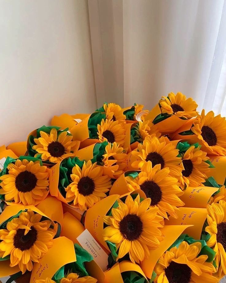 sunflowers