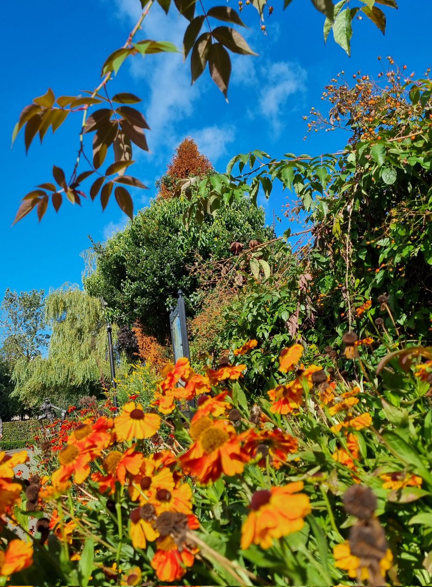 lynjobaggins's tweet photo. Enjoyed a stroll around Cae Glas Park Oswestry today..still looking great and full of colour, thanks to @OswestryIn Bloom Volunteers,who work all year round to keep it a beautiful haven for humans,birds and small animals such as squirrels
Much appreciated💚🌻 https://t.co/4jVsCl2zyi