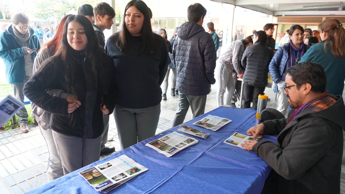 Servicio de Salud Biobío tweet media