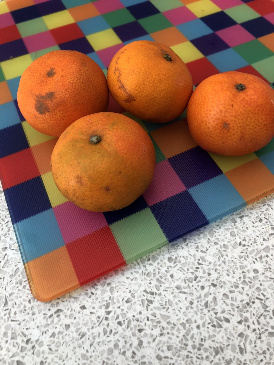 fuffs1234's tweet photo. @Ocado Very disappointed with these seedless satsumas delivered today. They all look like this and are all wet to the touch. Don’t think I’ll be eating any of them. 😢 https://t.co/fHwYC6BQlc