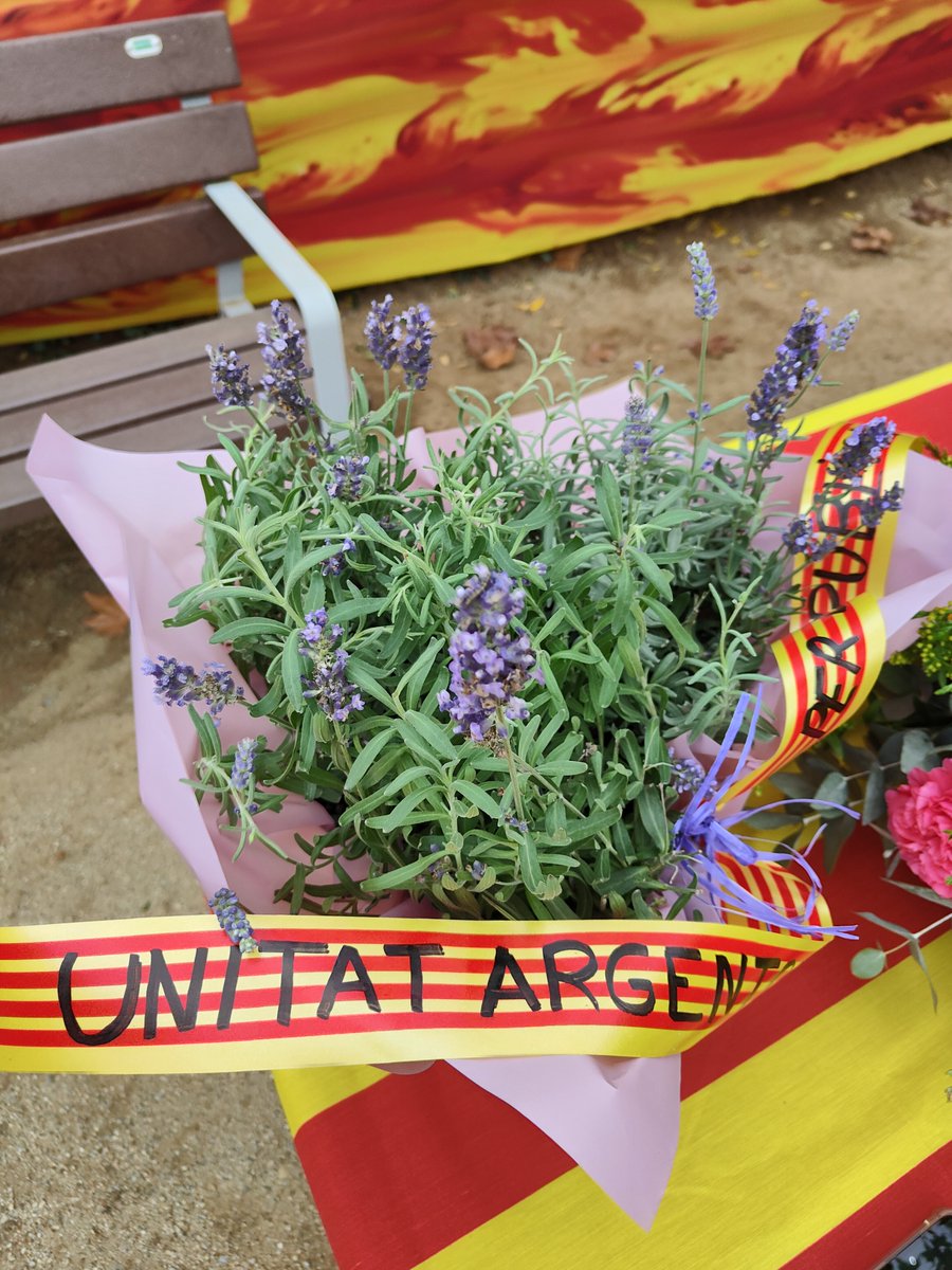UnitatArgentona's tweet photo. Avui, Diada Nacional de Catalunya, hem fet una ofrena floral al monument a Rafael Casanova i Comes, conseller en cap de Barcelona el 1714 durant la lluita contra l'exèrcit borbònic, i hem llegit un manifest reivindicant la llengua catalana i l'u d'octubre.

Continuem lluitant per recuperar la plena sobirania i llibertats que ens van arrabassar llavors.

Aquesta tarda serem a Barcelona a la mobilització convocada per l'@assemblea