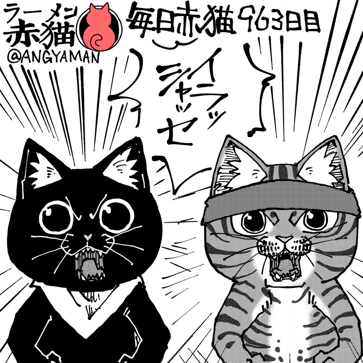 かわいさよりも気合い
#ラーメン赤猫 #ジャンププラス
116杯目 https://t.co/dq8UVQurzi 